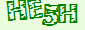 验证码